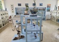 zeitkunstgalerie born am darss