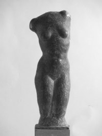 torso1
