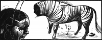 Zebra-im-Kopf