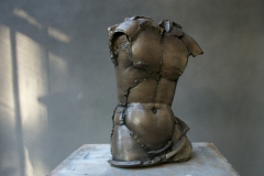 Torso-2011-43x27x22