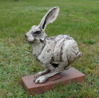 andreas-hinder-hase