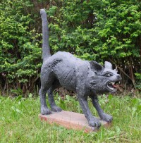 andreas-hinder-katze
