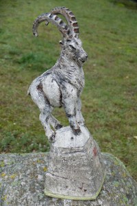 andreas-hinder-steinbock
