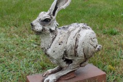 andreas-hinder-hase