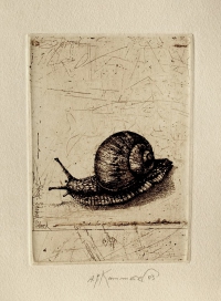 anton paul kammerer, radierung