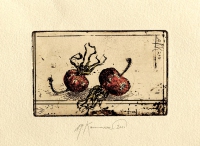 anton paul kammerer, radierung