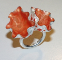 MUSCHEL_2_ROSE