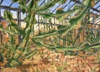 hans christoph rackwitz, botanischer garten