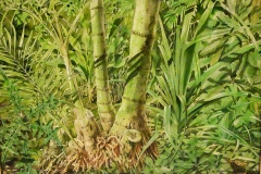 hans christoph rackwitz, bambus